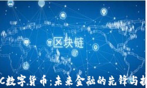 
RLC数字货币：未来金融的先锋与挑战