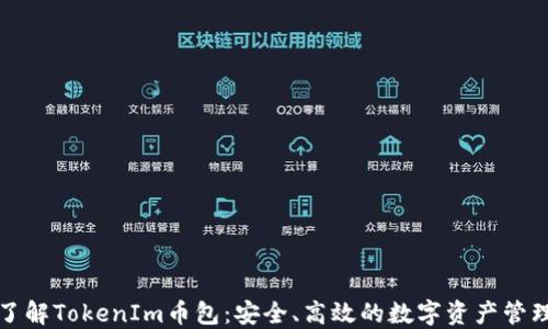 
深入了解TokenIm币包：安全、高效的数字资产管理工具