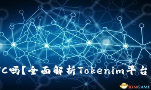 Tokenim能存BTC吗？全面解析Tokenim平台的功能与安全性