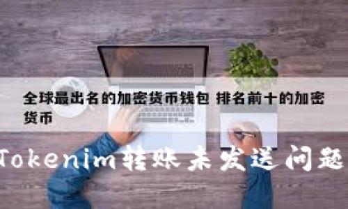 如何解决Tokenim转账未发送问题：详尽指南
