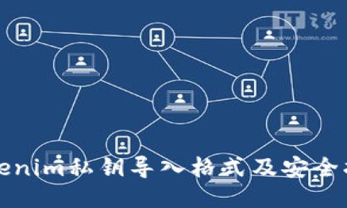 Tokenim私钥导入格式及安全指南