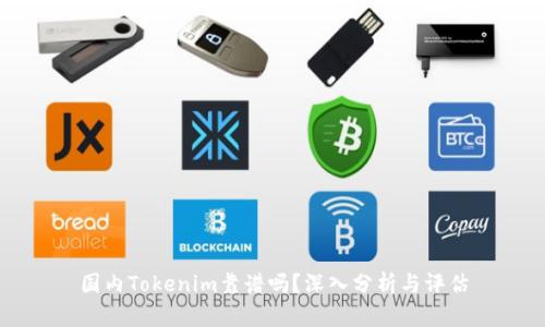 国内Tokenim靠谱吗？深入分析与评估