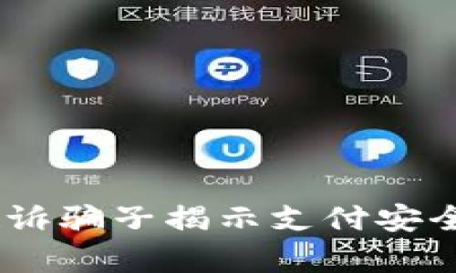  OKPay起诉骗子揭示支付安全的重要性
