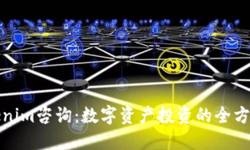 : Tokenim咨询：数字资产投资的全方位指南