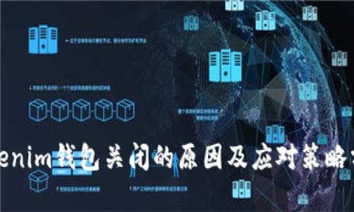 Tokenim钱包关闭的原因及应对策略分析