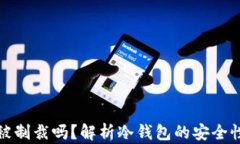 冷钱包会被制裁吗？解析冷钱包的安全性与合规