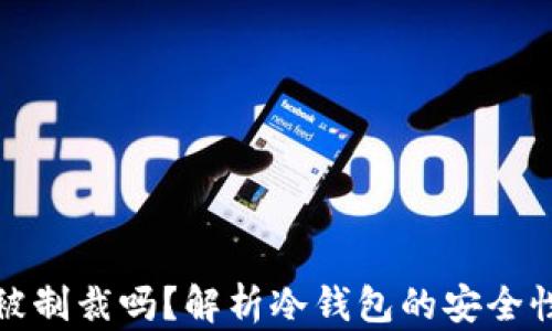 
冷钱包会被制裁吗？解析冷钱包的安全性与合规性