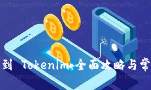 如何将币提到 Tokenim：全面攻略与常见问题解答