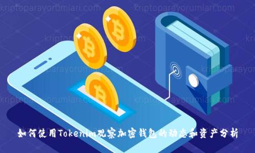 如何使用Tokenim观察加密钱包的动态和资产分析