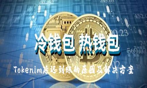 Tokenim延迟到账的原因及解决方案