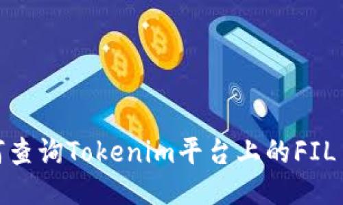 : 如何查询Tokenim平台上的FIL币信息