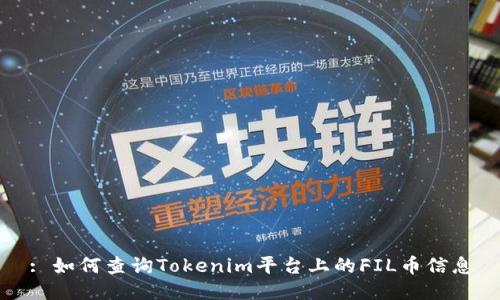 : 如何查询Tokenim平台上的FIL币信息