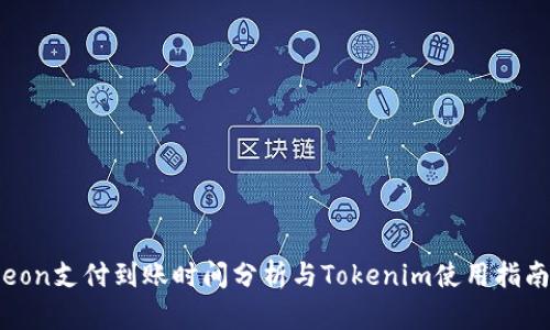 eon支付到账时间分析与Tokenim使用指南