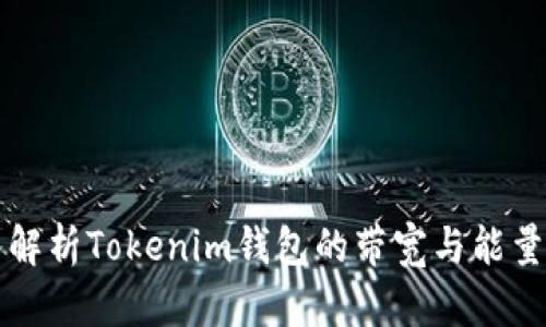 深入解析Tokenim钱包的带宽与能量特点