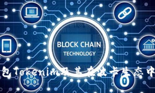 深入解析钱包Tokenim及其在波卡生态中的代币功能