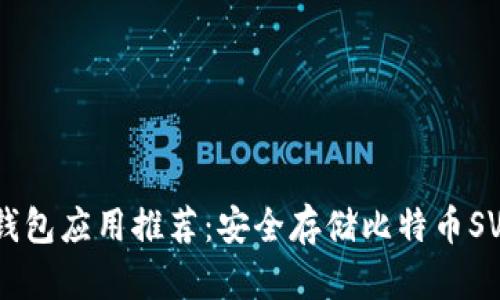 最佳BSV冷钱包应用推荐：安全存储比特币SV的最佳选择