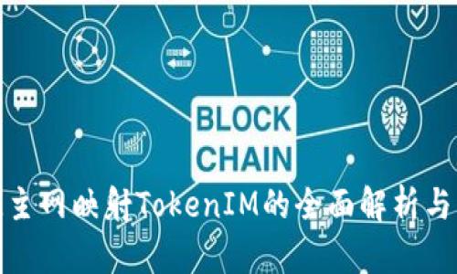 BTM主网映射TokenIM的全面解析与应用