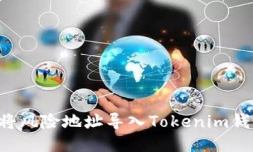 如何安全地将风险地址导入Tokenim钱包：全面指南