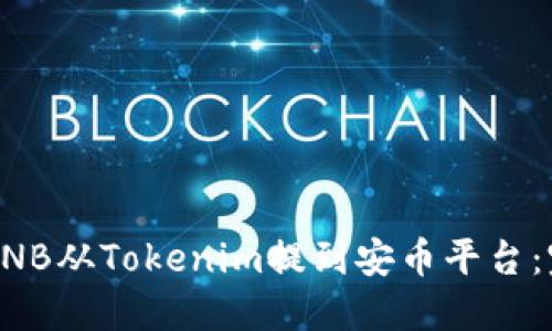 如何将BNB从Tokenim提到安币平台：完整指南