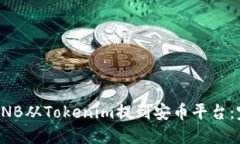 如何将BNB从Tokenim提到安币平台：完整指南