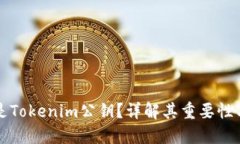 什么是Tokenim公钥？详解其重要性与应用