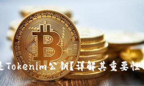 什么是Tokenim公钥？详解其重要性与应用