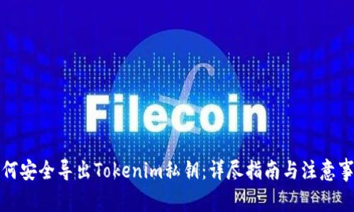 如何安全导出Tokenim私钥：详尽指南与注意事项