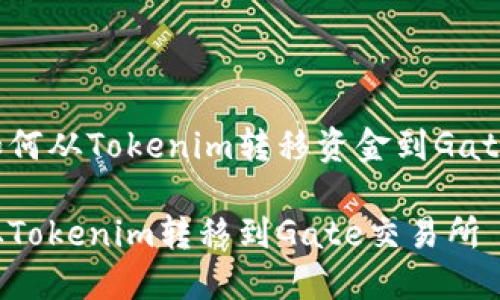 以下是关于如何从Tokenim转移资金到Gate的详细指南。

如何将资金从Tokenim转移到Gate交易所