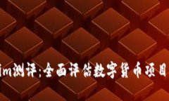 Tokenim测评：全面评估数字货币项目的指南