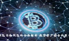 观察钱包与冷钱包的全面解析：数字资产安全的