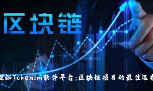 探秘Tokenim软件平台：区块链项目的最佳选择