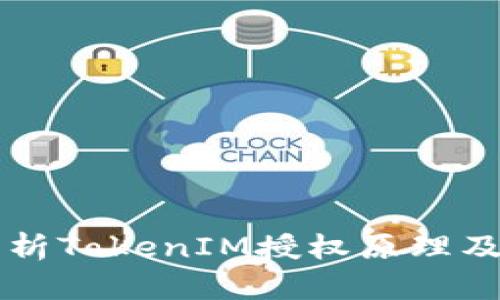 深入解析TokenIM授权原理及其应用