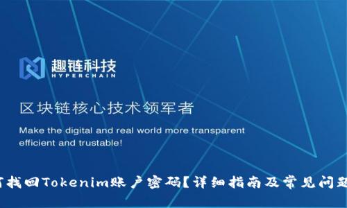  如何找回Tokenim账户密码？详细指南及常见问题解答