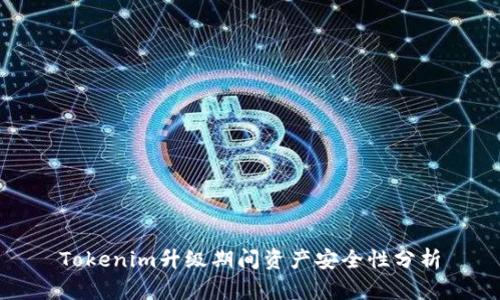 Tokenim升级期间资产安全性分析