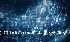 如何支付Tokenim矿工费：一份详尽指南