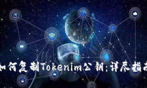 如何复制Tokenim公钥：详尽指南