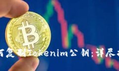 如何复制Tokenim公钥：详尽指南