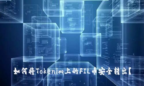 如何将Tokenim上的FIL币安全转出？