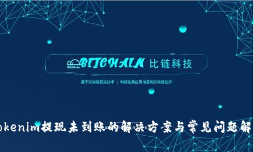 Tokenim提现未到账的解决方案与常见问题解析