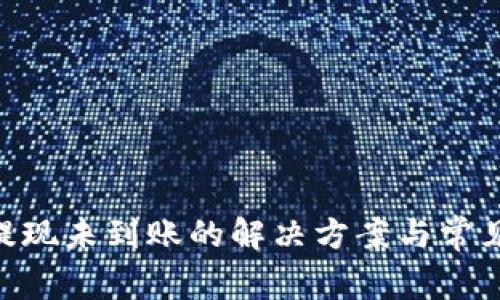 Tokenim提现未到账的解决方案与常见问题解析