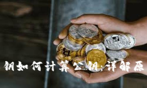 冷钱包私钥如何计算公钥：详解原理与步骤