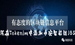 如何在Tokenim中添加币安智能链（BSC）