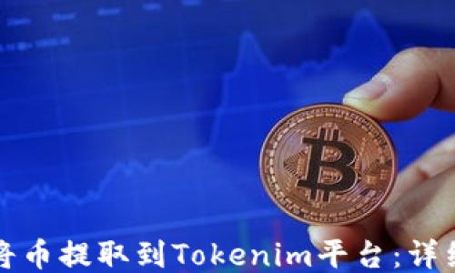 
如何将币提取到Tokenim平台：详细指南