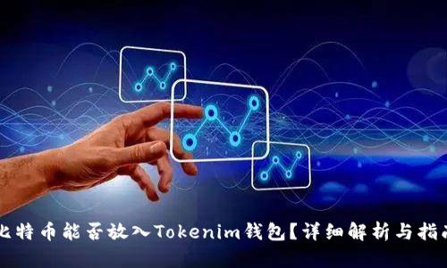 比特币能否放入Tokenim钱包？详细解析与指南