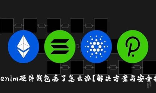 Tokenim硬件钱包丢了怎么办？解决方案与安全指南