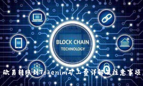 欧易转账到Tokenim矿工费详解及注意事项