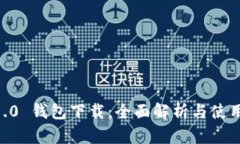 IM 1.0 钱包下载：全面解析与使用指南