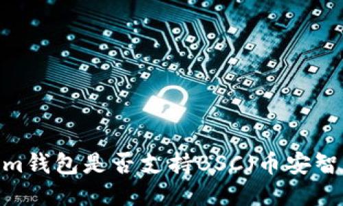 Tokenim钱包是否支持BSC（币安智能链）？