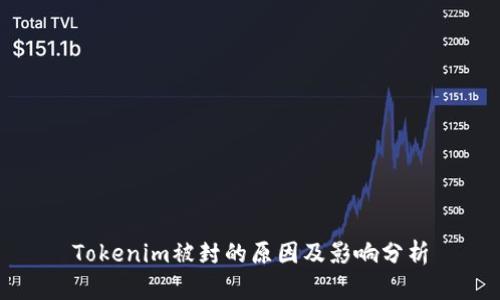 Tokenim被封的原因及影响分析
