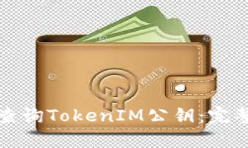 如何查询TokenIM公钥：完整指南